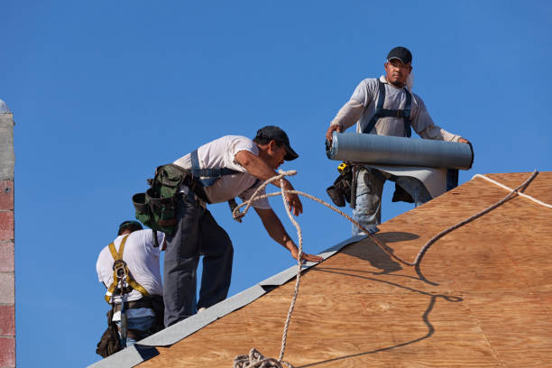 Best Roof Gutter Cleaning  in Walls, MS