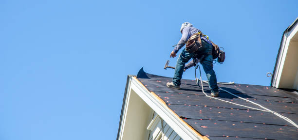 Best Roof Gutter Cleaning  in Walls, MS